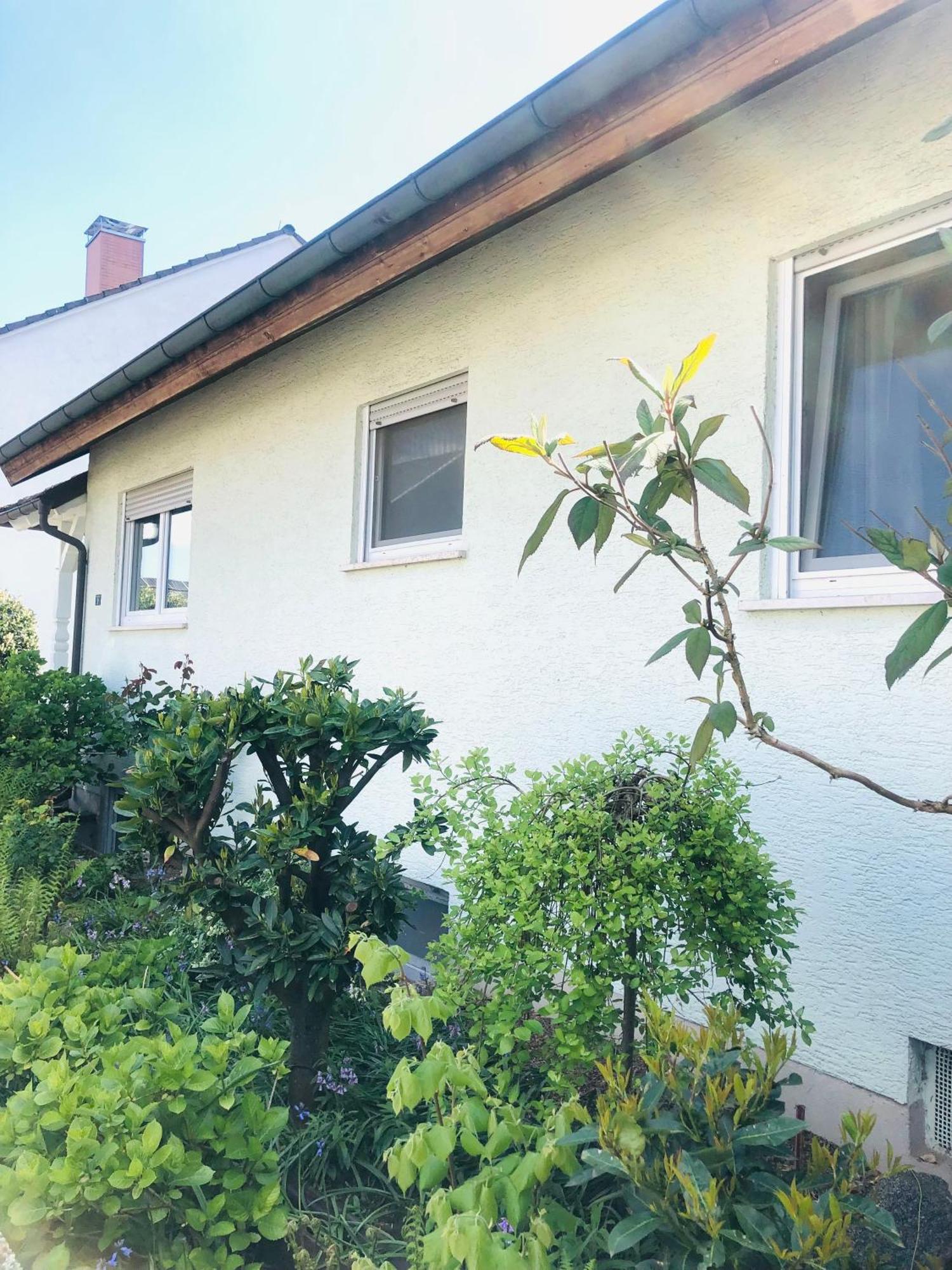 Ferienwohnung Feldmann Freckenfeld 外观 照片